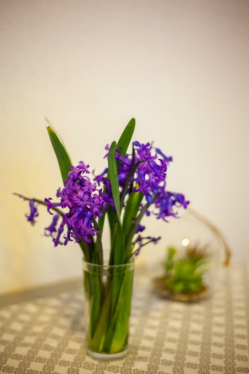 Artemida Apartment Tbs Tbilisi Ngoại thất bức ảnh
